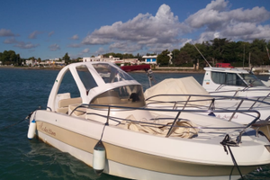 Barca Master 22 Walkaround