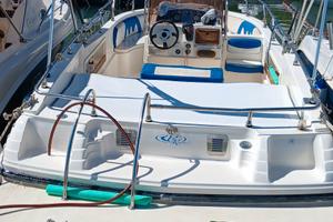 Ranieri Millenium 22.20