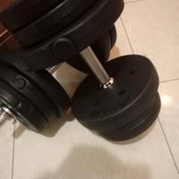 manubri regolabili per palestra 