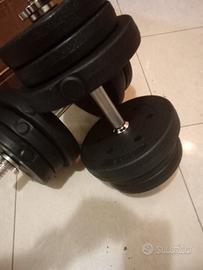 manubri regolabili per palestra 