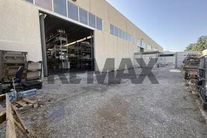 Capannone Industriale - Modugno