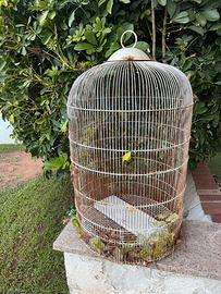 Gabbia per uccelli