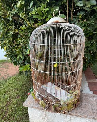 Gabbia per uccelli