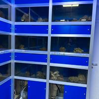 Strutture per negozio di acquari
