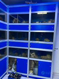 Strutture per negozio di acquari