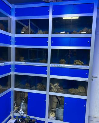 Strutture per negozio di acquari