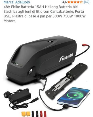 Batteria bici elettrica
