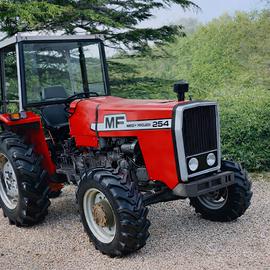 Massey Ferguson 254 -1400 ore - Rops - Targato
