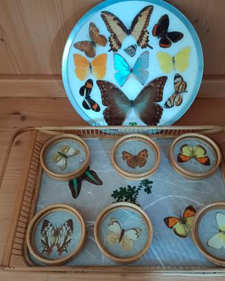 Vassoio antico con farfalle
