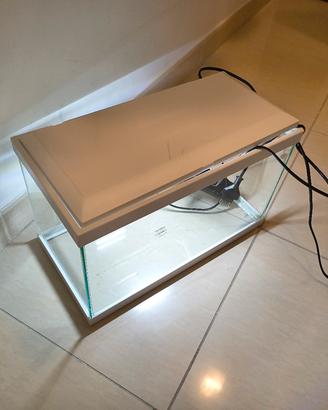 Acquario 
