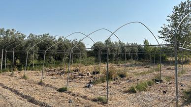 Centine - Archi per serre Piante e Ortaggi