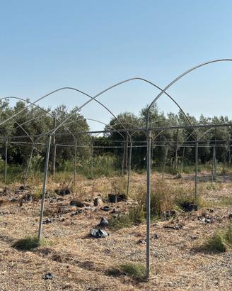 Centine - Archi per serre Piante e Ortaggi