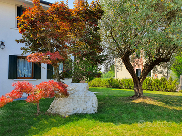 Arredato in condivisione