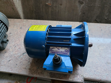 Motore asincrono trifase