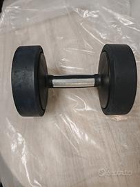 Manubri palestra "10kg" TECNOGYM