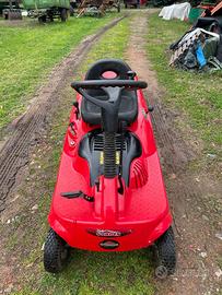 Trattorino rasaerba con raccoglitore