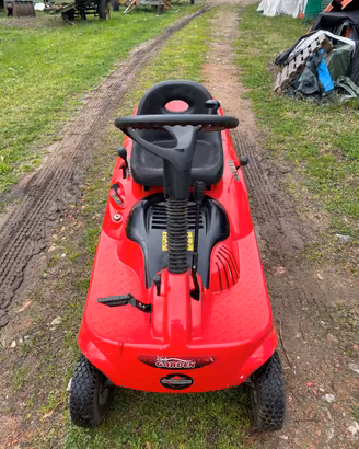 Trattorino rasaerba con raccoglitore