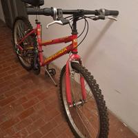 bicicletta  mis 24 