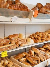 Attività di Panificio