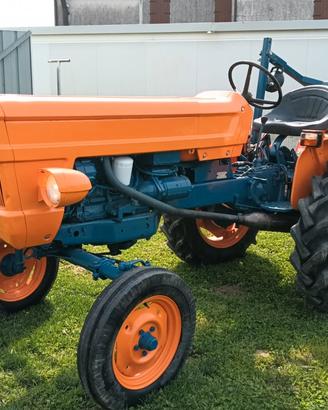 Trattore FIAT 250 degli anni 50 con libretto.