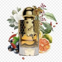 OH HONEY! MAISON ASRAR profumo arabo unisex 100 ml