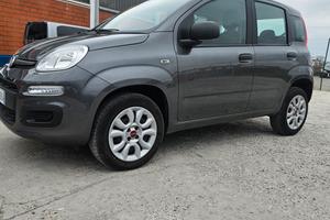 panda unico proprietario 