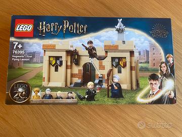 LEGO Harry Potter 76395 – First Flying Lesson