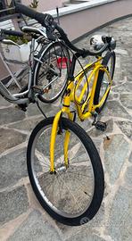 Bicicletta Montante svitol100x100brumotti