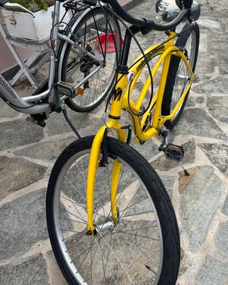 Bicicletta Montante svitol100x100brumotti