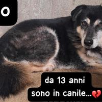 RIO 13 ANNI taglia media