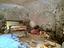 Immagine 18