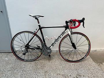 BDC focus izalco