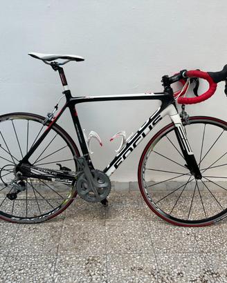 BDC focus izalco