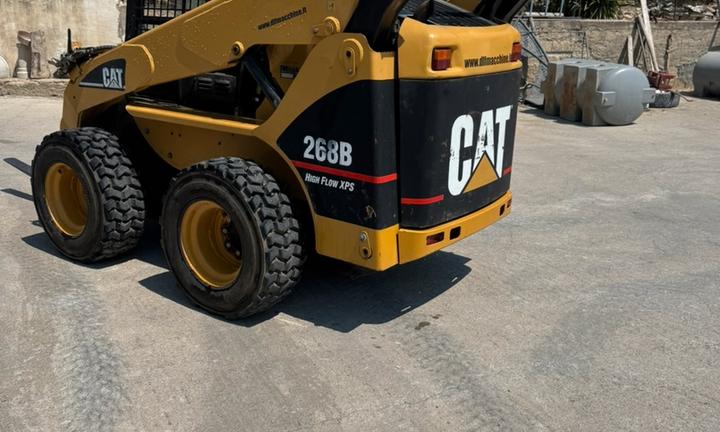 Minipala caterpillar