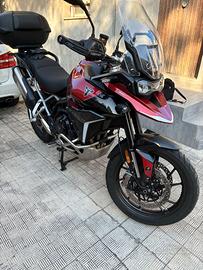 Tiger 900 GT Pro