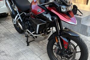 Tiger 900 GT Pro