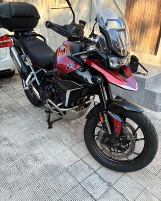 Tiger 900 GT Pro