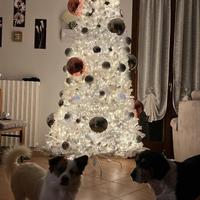 Albero di natale