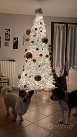 Albero di natale