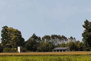 Terreno agricolo di 56 biolche a Suzzara