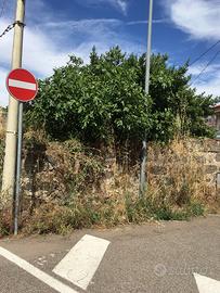 Terreno fabbricabile