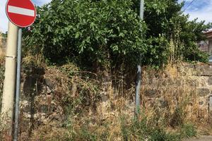 Terreno fabbricabile