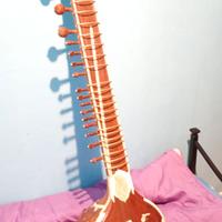 SITAR ETNICO ORIGINALE