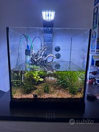 Acquario 30l già avviato