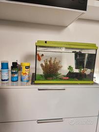 Acquario Zolux 24 litri completo