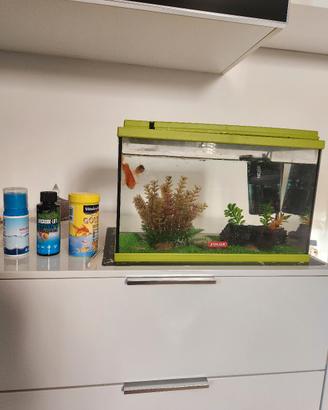 Acquario Zolux 24 litri completo