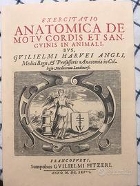 Libro Esercitazione anatomica…
