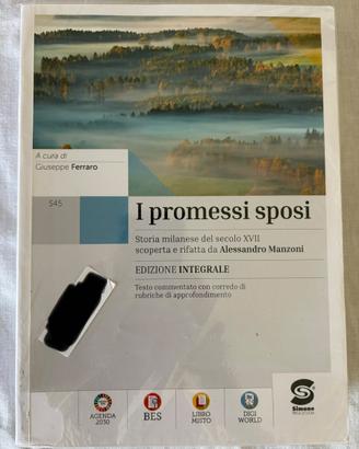 I Promessi Sposi