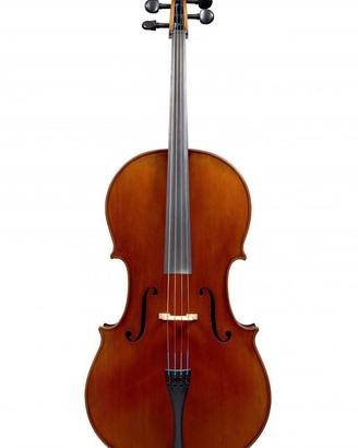 Violoncello 4/4 Liuteria  Antichizzato bel suono