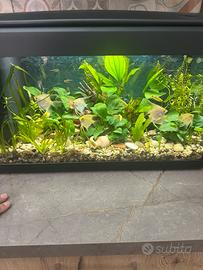 Acquario MTB italiano